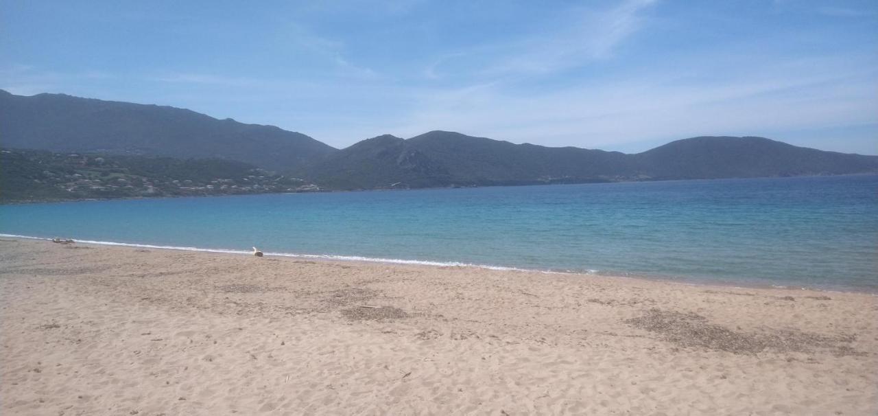 Maison De 4 Chambres De Front De Mer Corse-Du-Sud Appietto Extérieur photo